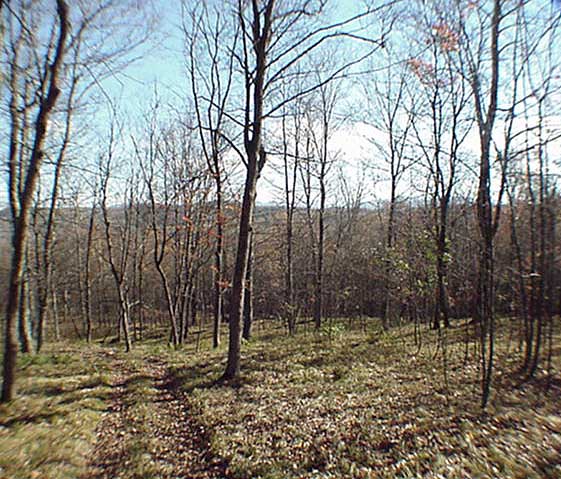 62 Acres of Land from DC Realty