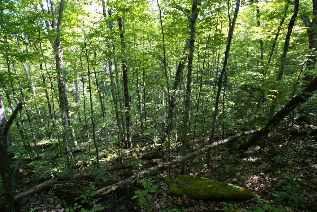 Land For Sale Granville NY Upper Turnpike - DC Realty